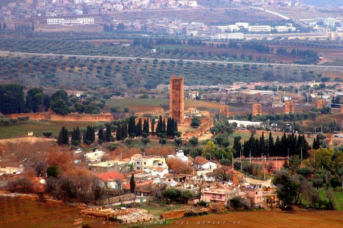 Tlemcen- Vue generale 030.jpg